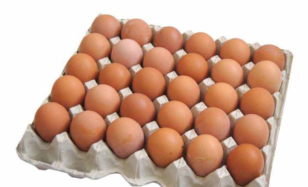 Яйцо куриное столовой С2