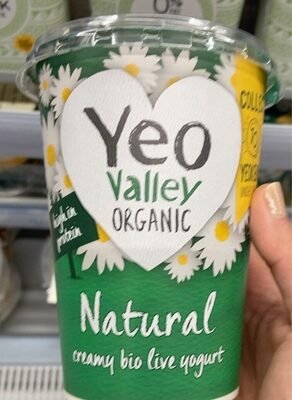Natural Yogurt